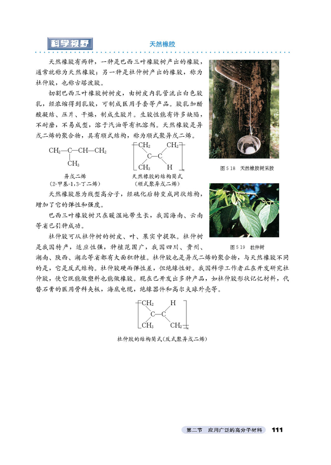 第二节 应用广泛的高分子材料(8)