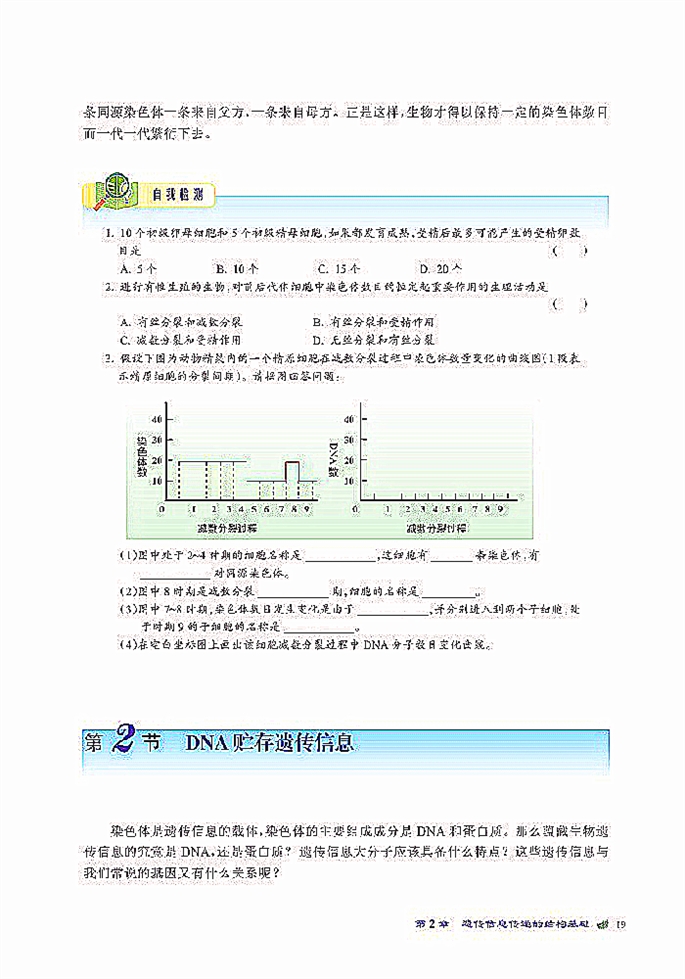 染色體是遺傳信息的載體(11)