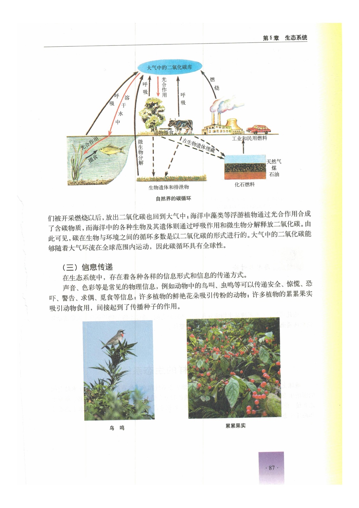 第二节 生态系统的结构和功能(7)