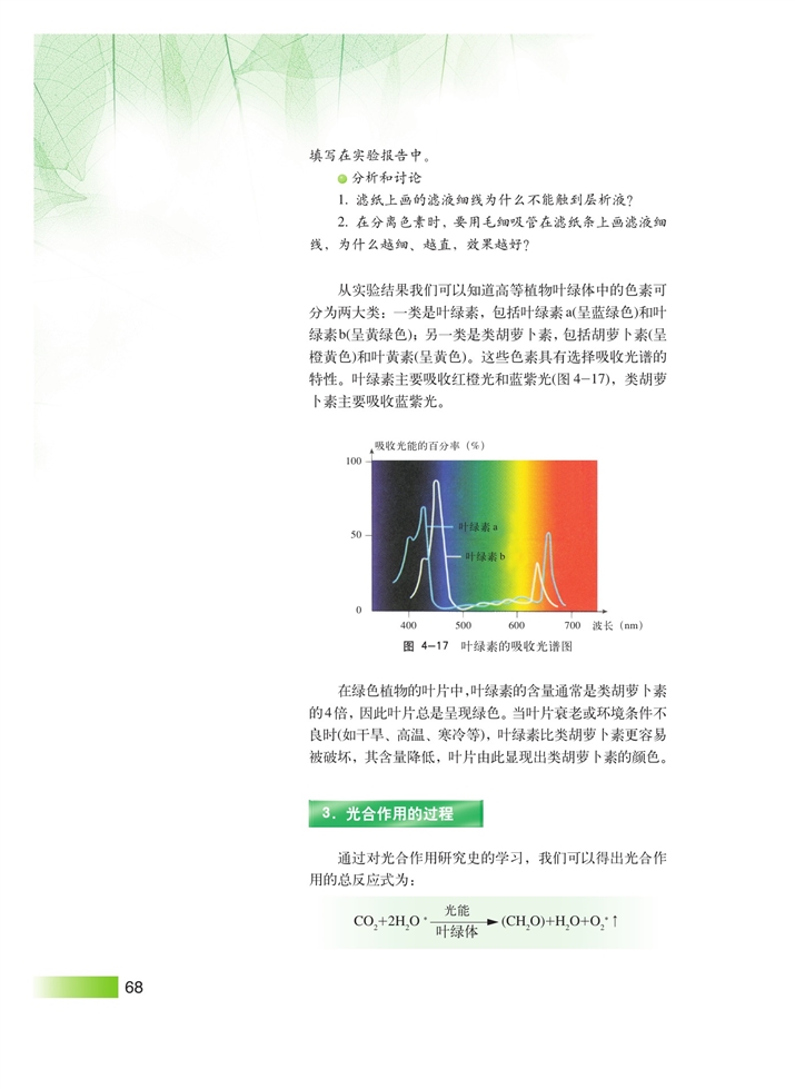 光合作用(6)