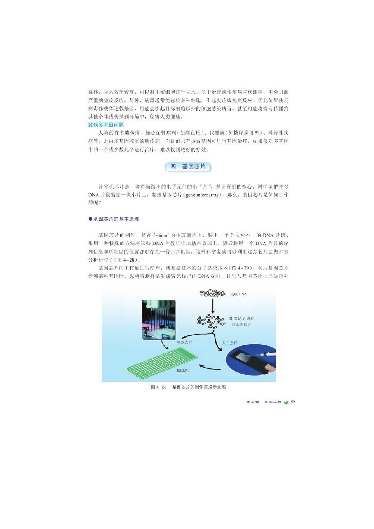 第三节基因工程的应用及产业化前景(7)