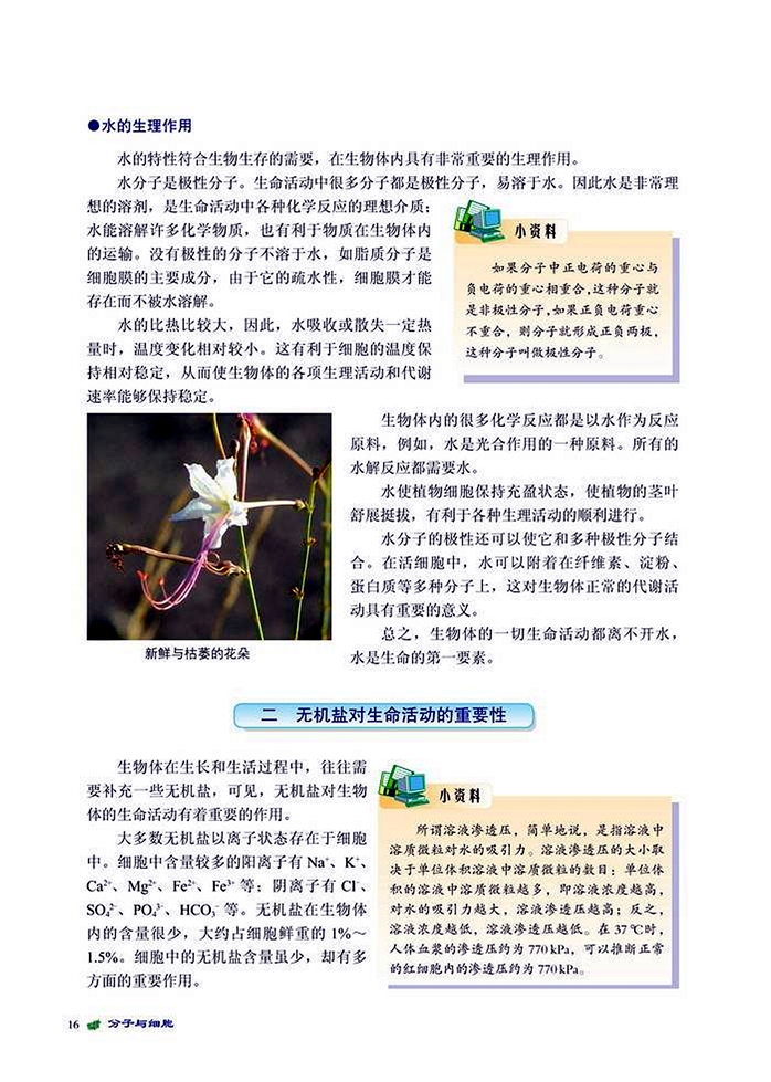 生命之源-水和无机盐(3)