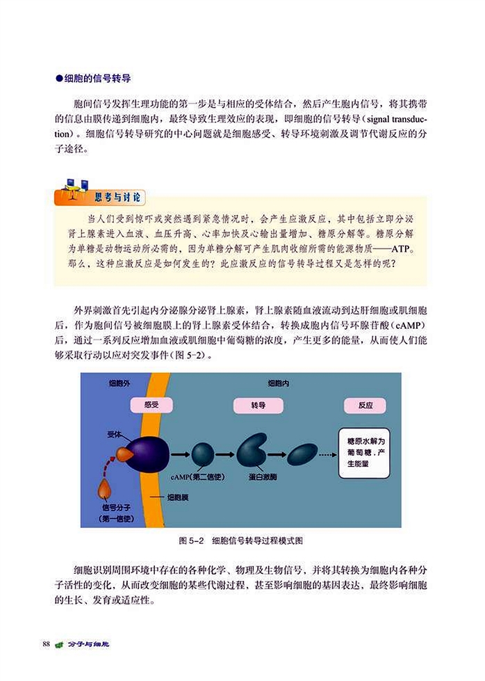 环境信息的传递(3)