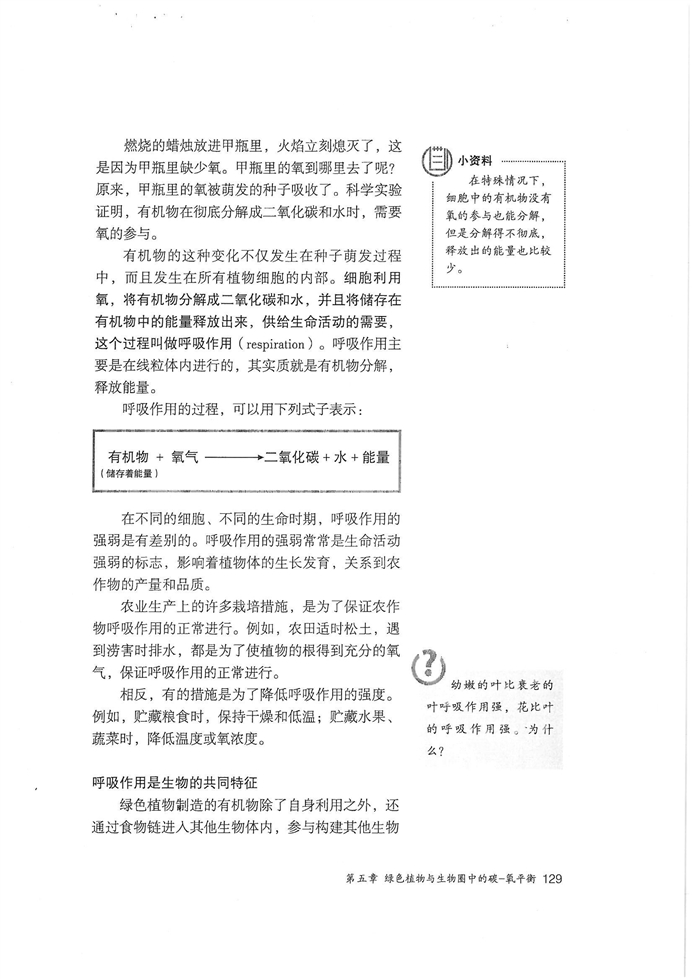 绿色植物的呼吸作用(3)