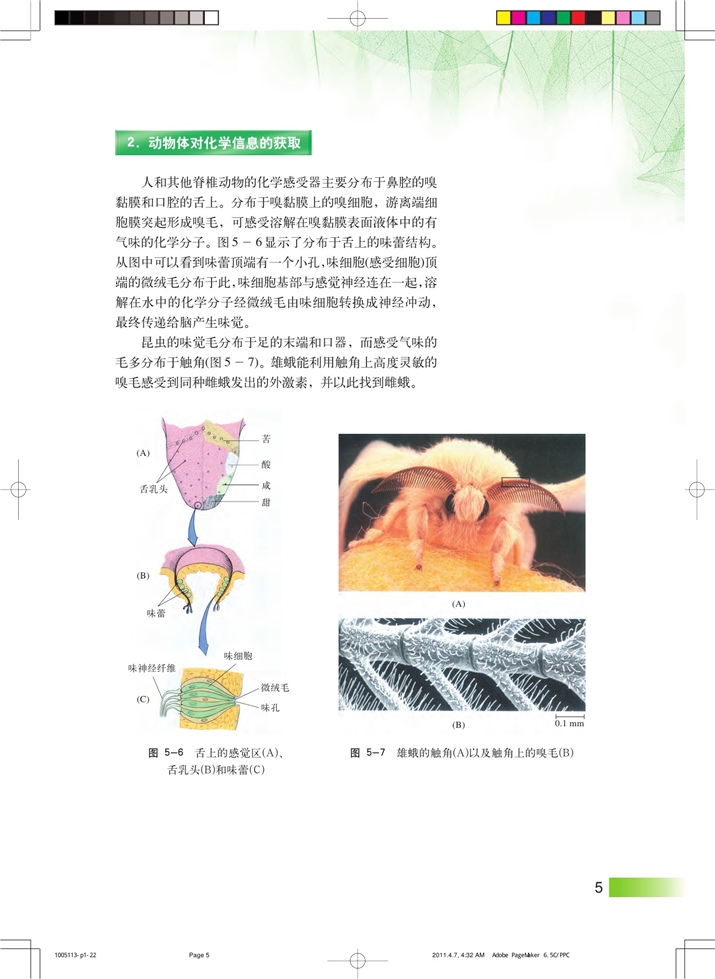 动物对外界信息的获取(4)