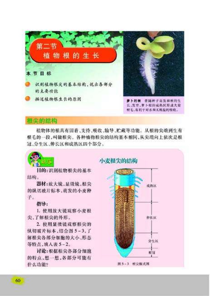 「2」、植物根的生长