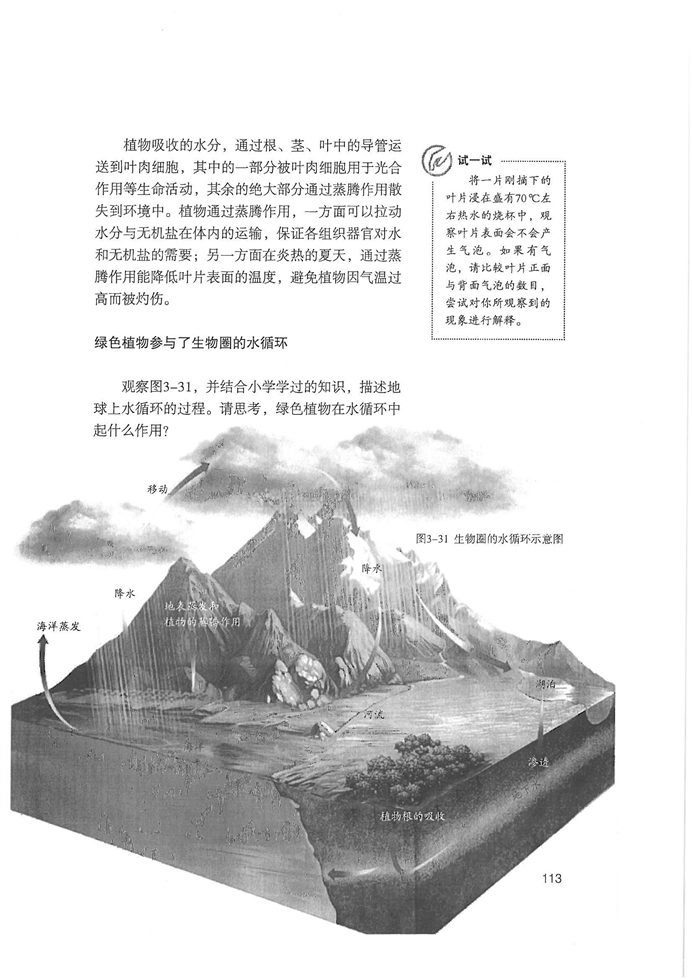 绿色植物与生物圈的水…(6)