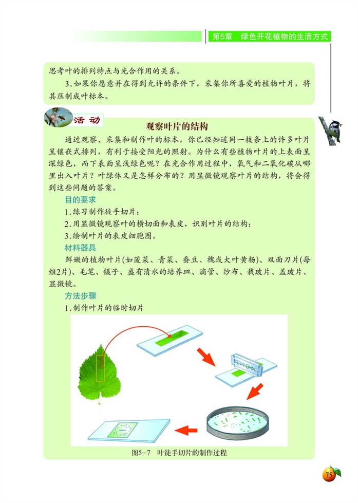 光合作用(11)