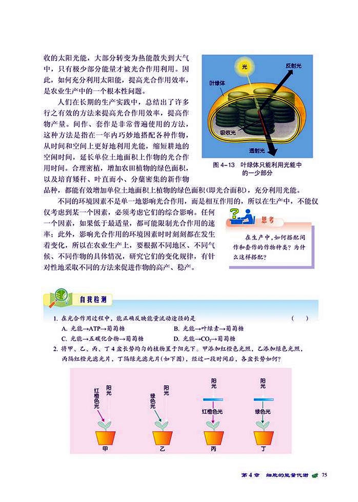 能量的获得(10)