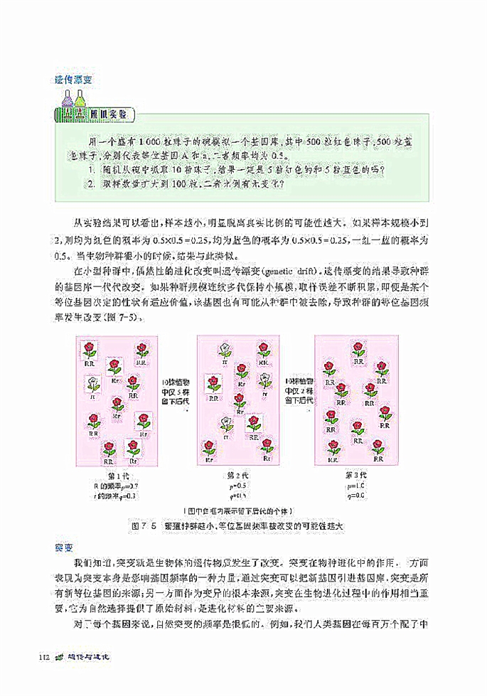 种群是进化的基本单位(5)