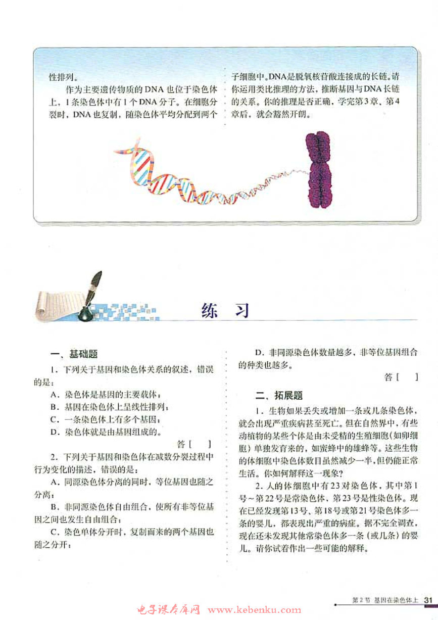 第2节 基因在染色体上(5)
