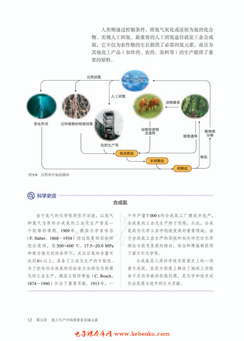 第二节 氮及其化合物(2)