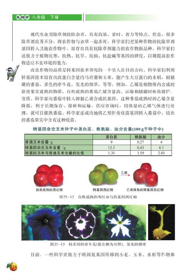 现代生物技术(5)