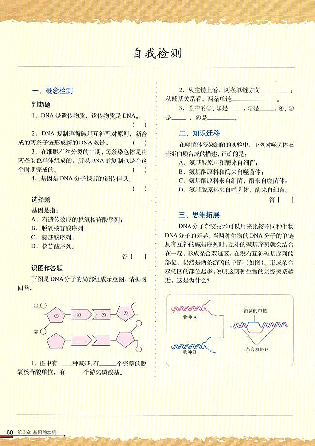 基因是有遗传效应的DNA片段(6)