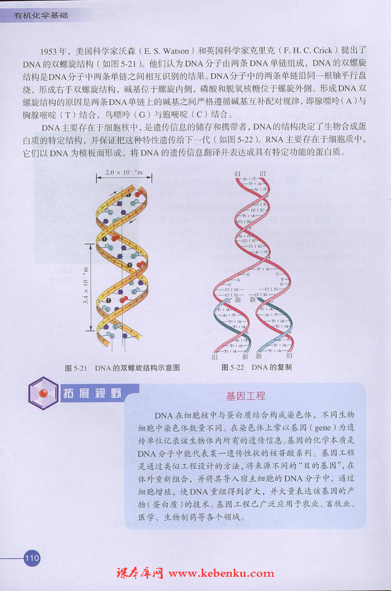 第二单元 氨基酸 蛋白(11)