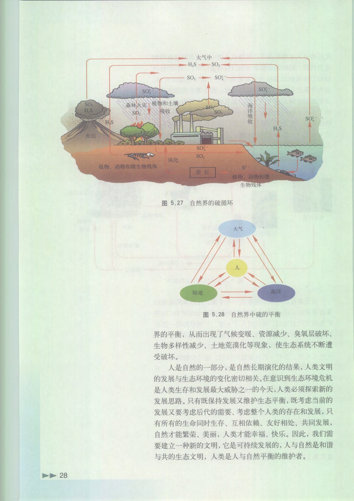 「5」.4 化學(xué)肥料中的主角(9)