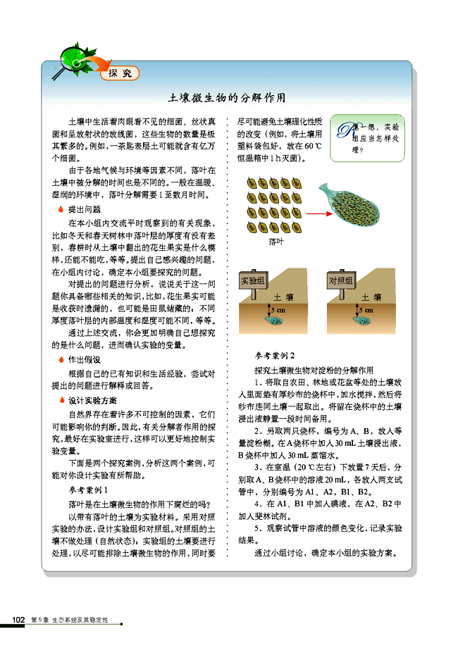 生态系统的物质循环(3)