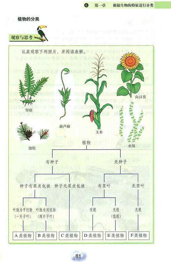 根据生物的特征进行分…(3)