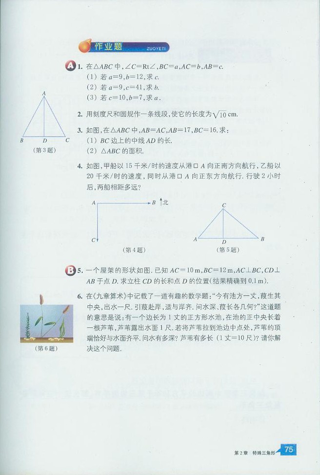 直角三角形(9)