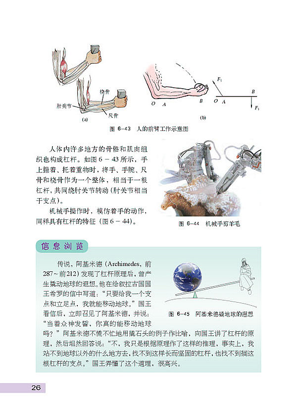 探究杠杆的平衡条件(5)