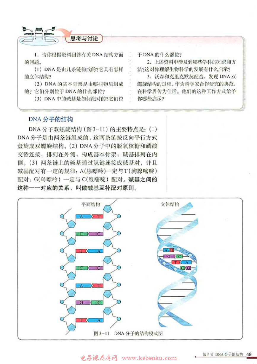 第2节 DNA分子的结构(3)
