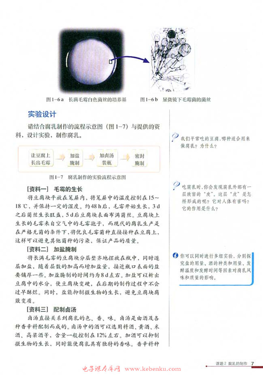 课题2 腐乳的制作(2)