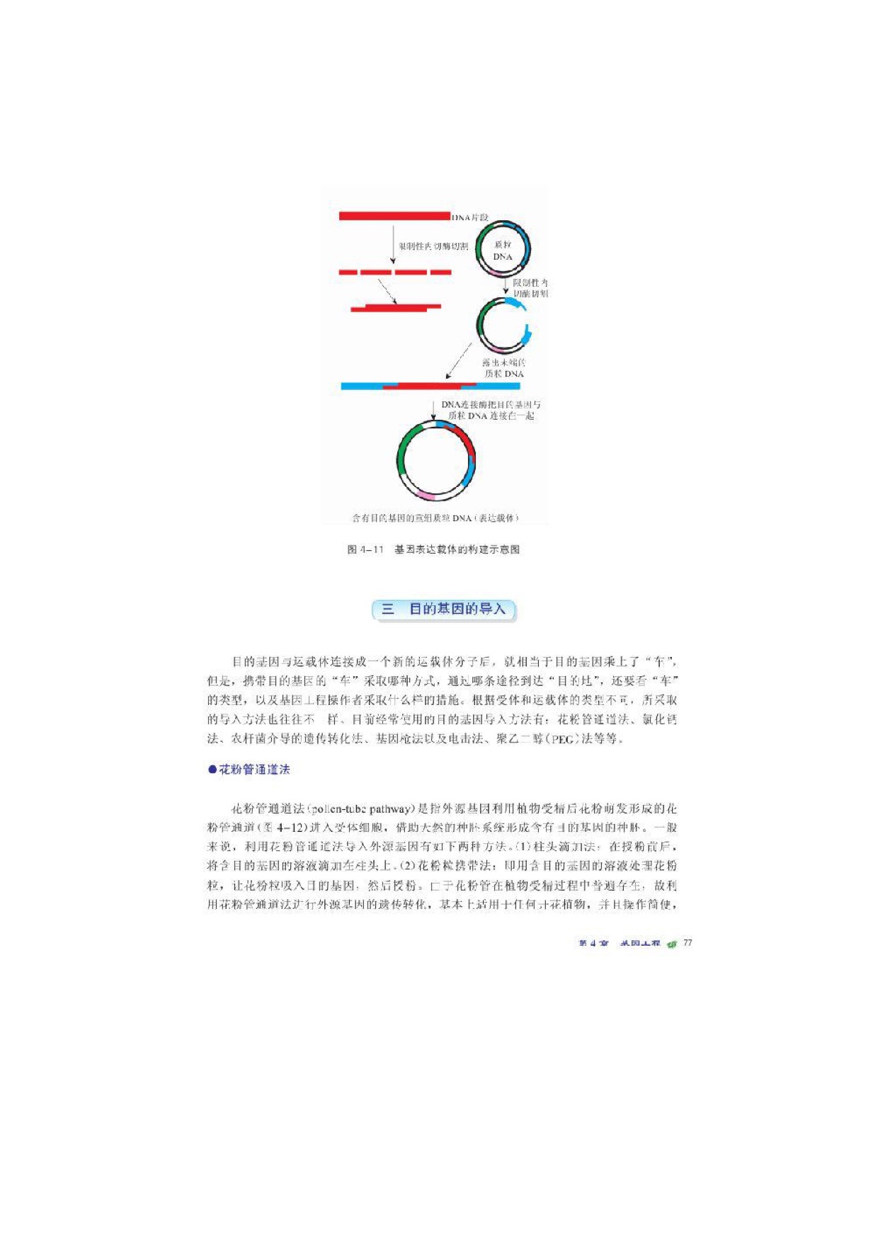 第二节基因工程的操作程序(6)