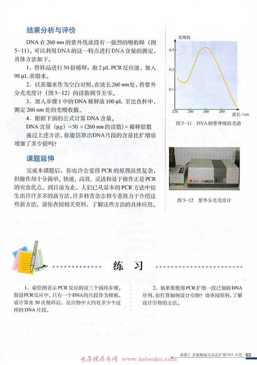 课题2 多聚酶链式反应扩增DNA片段(6)