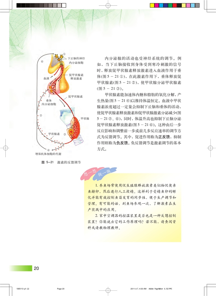 内分泌系统中信息的传递和调节(5)