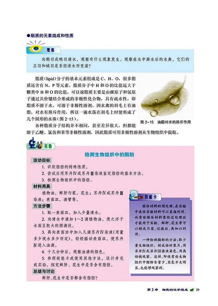 生物大分子(13)