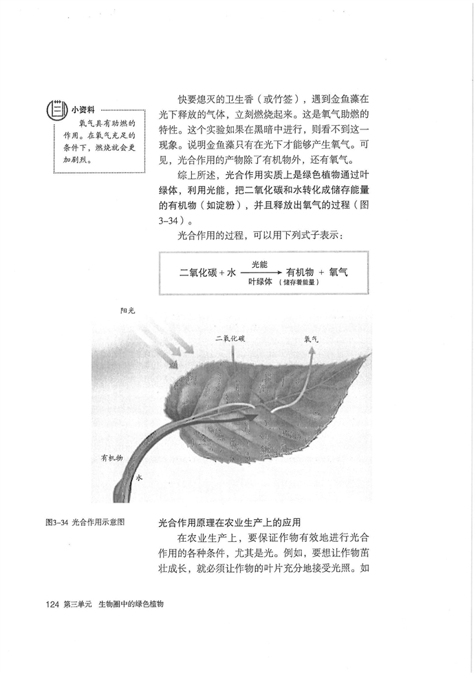 光合作用吸收二氧化碳释放氧气(5)