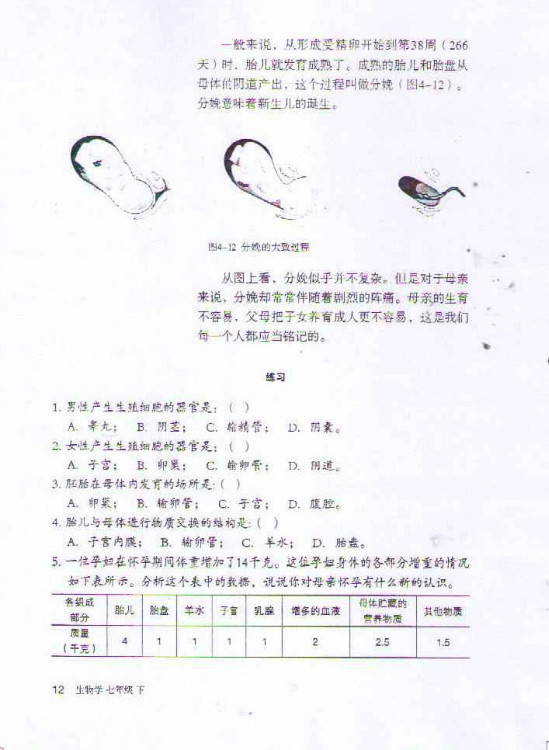 生殖过程(3)