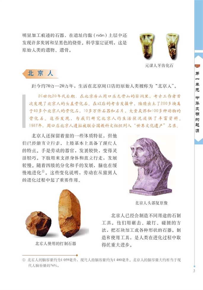 中华大地的远古人类(2)