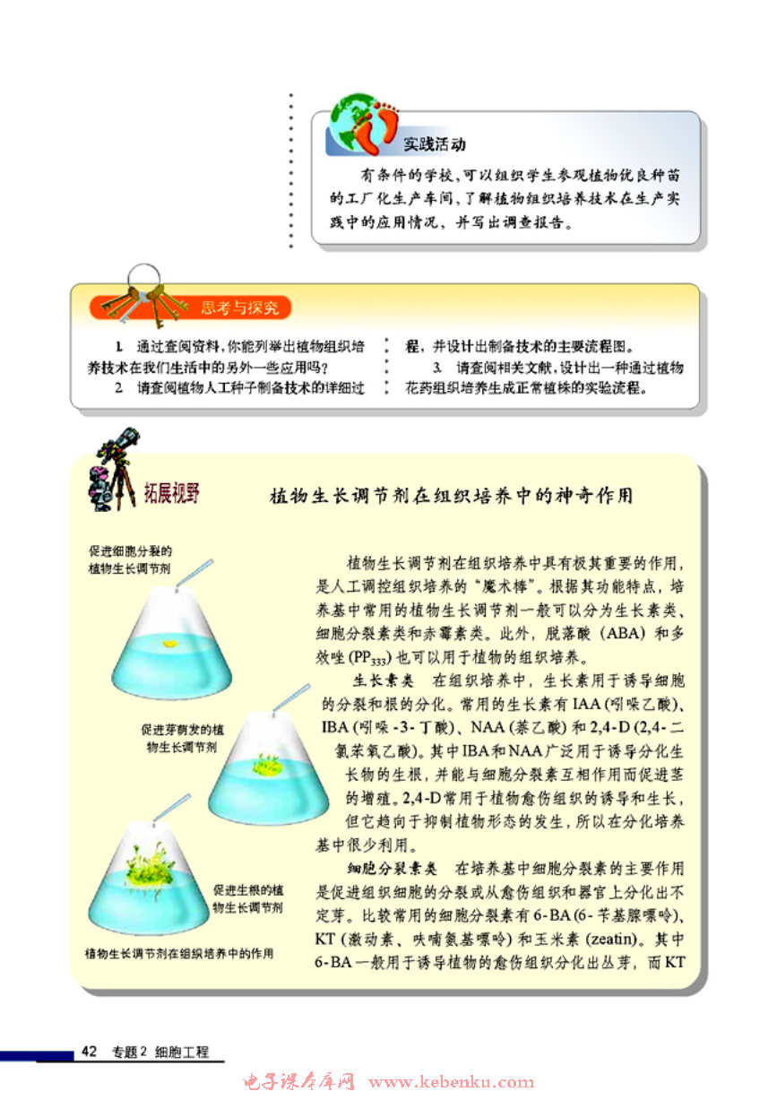 拓展视野 植物生长剂在组织培养中的