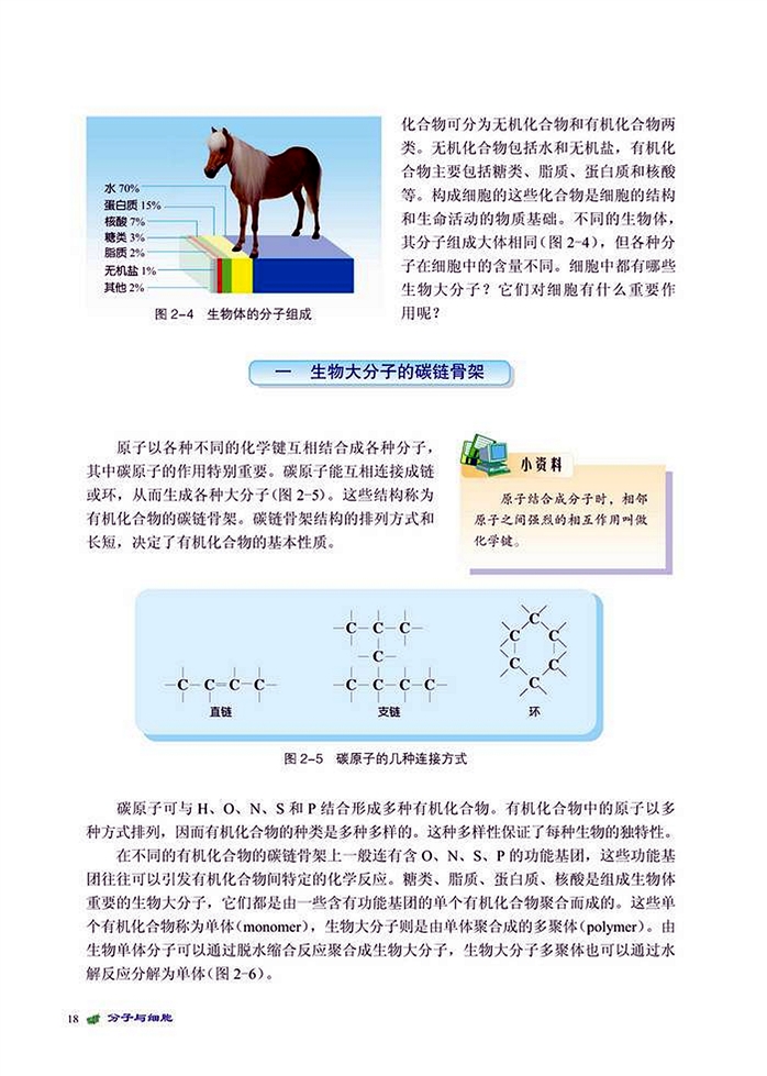 生物大分子(2)