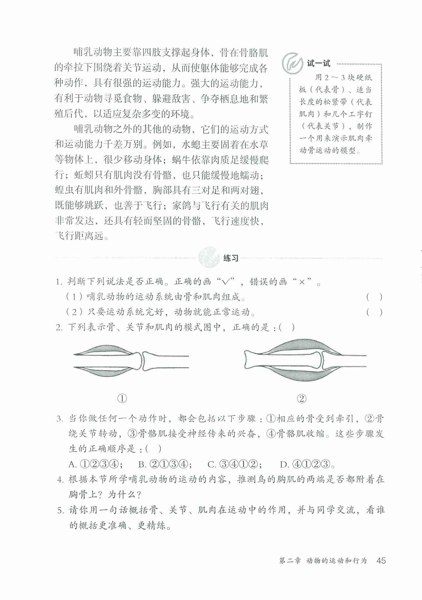 骨、关节和肌肉的协调配合(2)