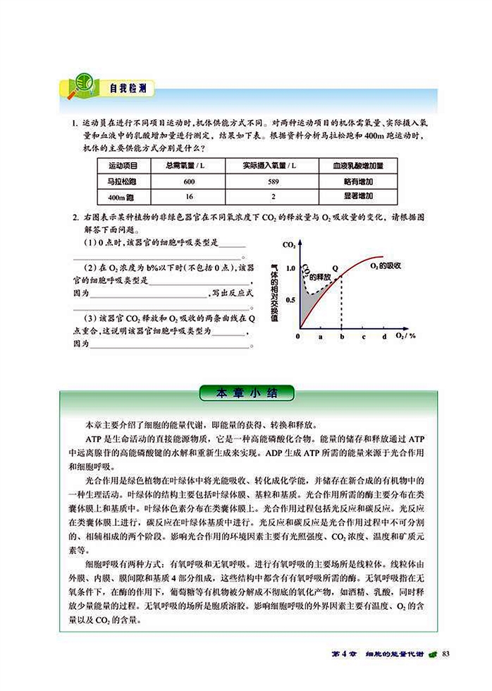 能量转换与释放(8)