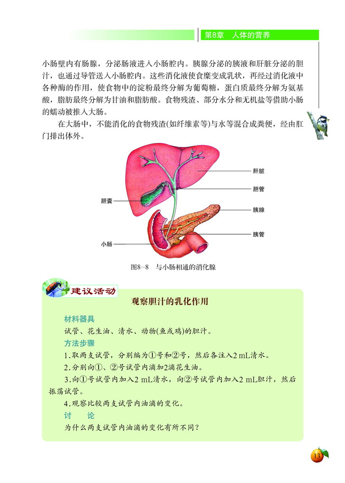 食物的消化和营养物质的吸收(6)