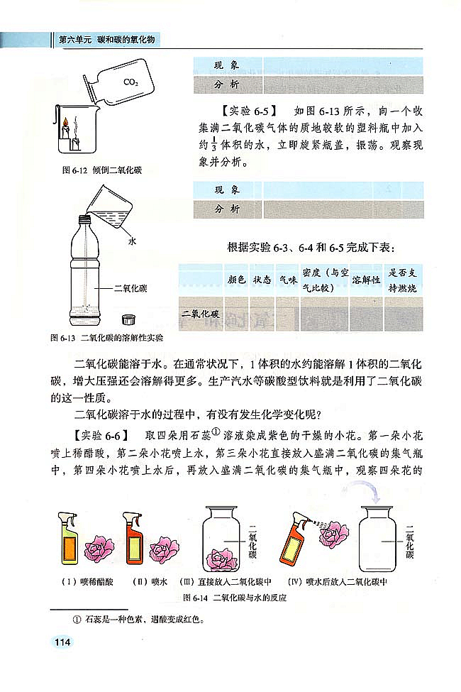 二氧化碳和一氧化碳(2)