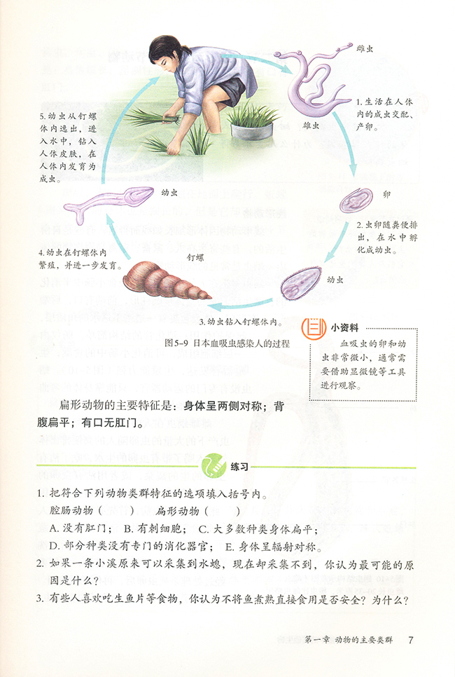 扁形动物(2)