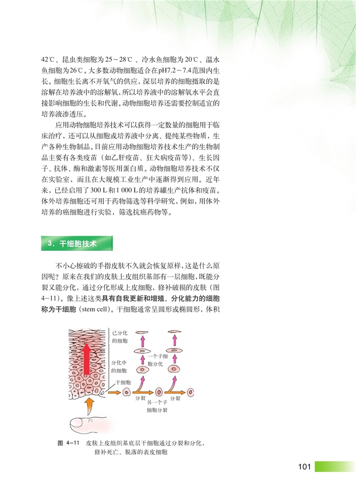 细胞工程(7)