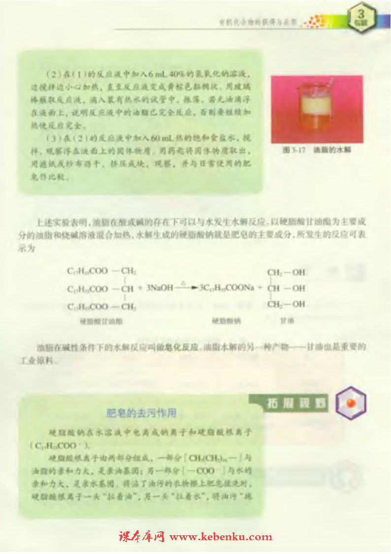 第二单元 食品中的有机化合物(5)