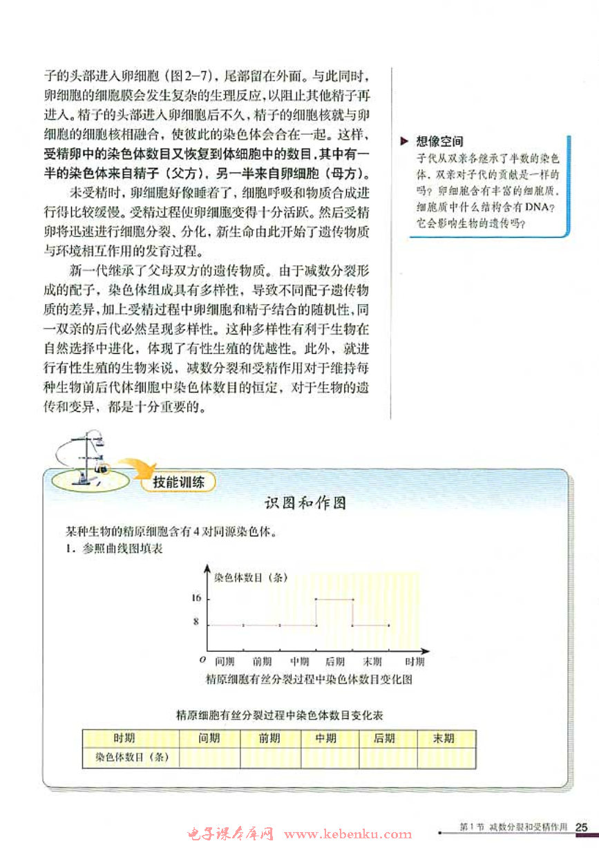 第1节 减数分裂和受精作用(10)