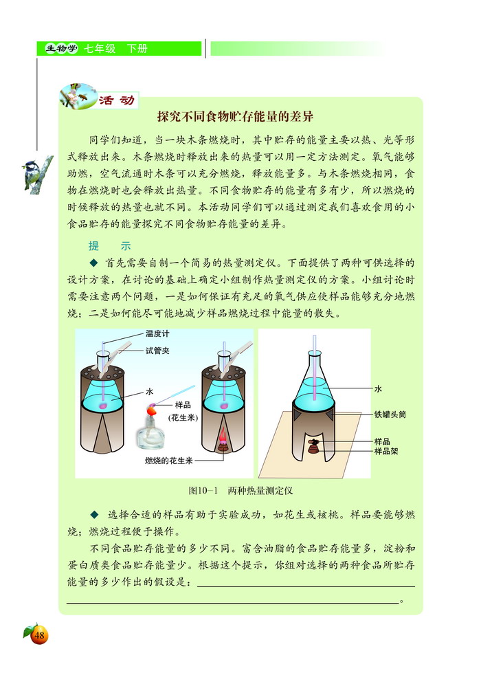 人体的能量供应(3)