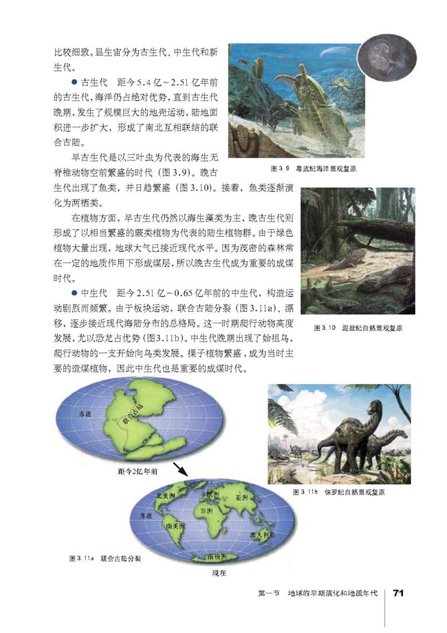 记录地球历史的书页 地层和化石(3)