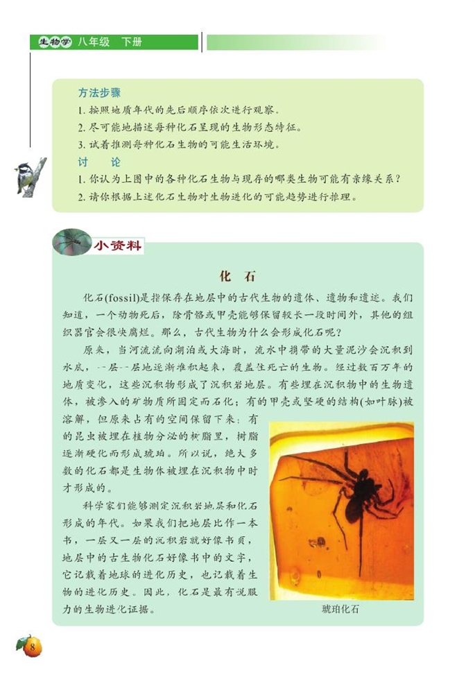 生物的进化(4)