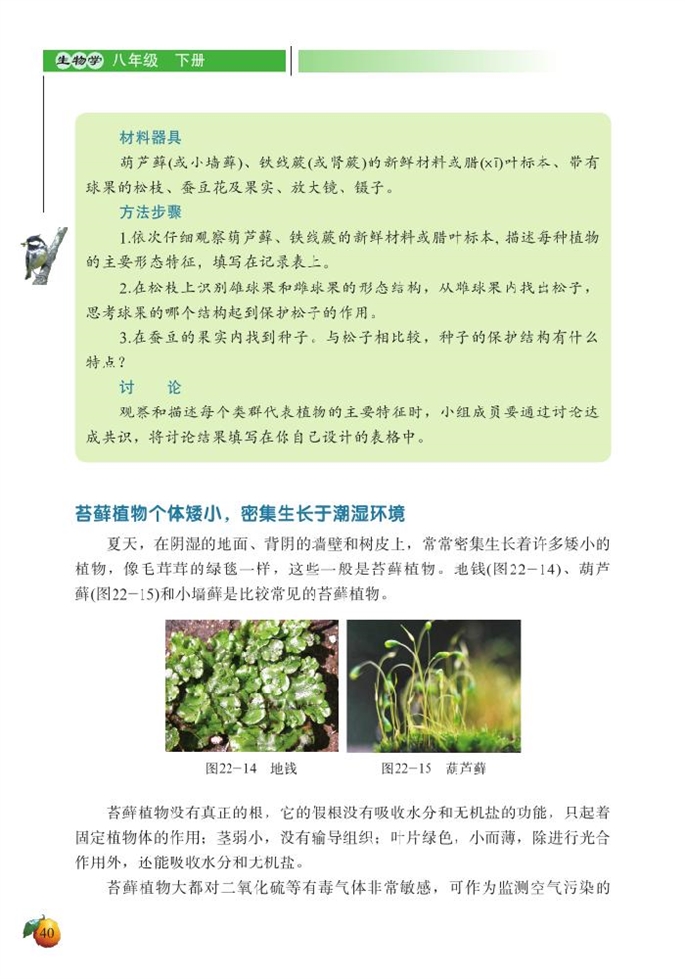 植物的主要类群(2)