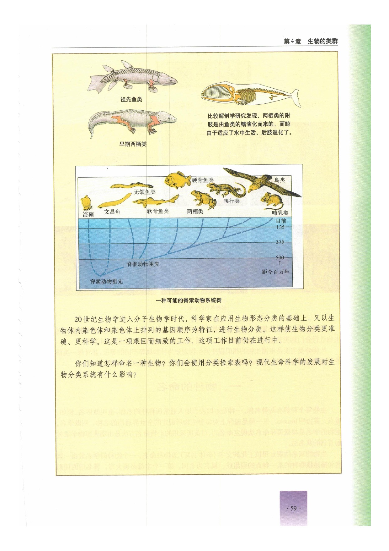 第四节 生物的分类(2)