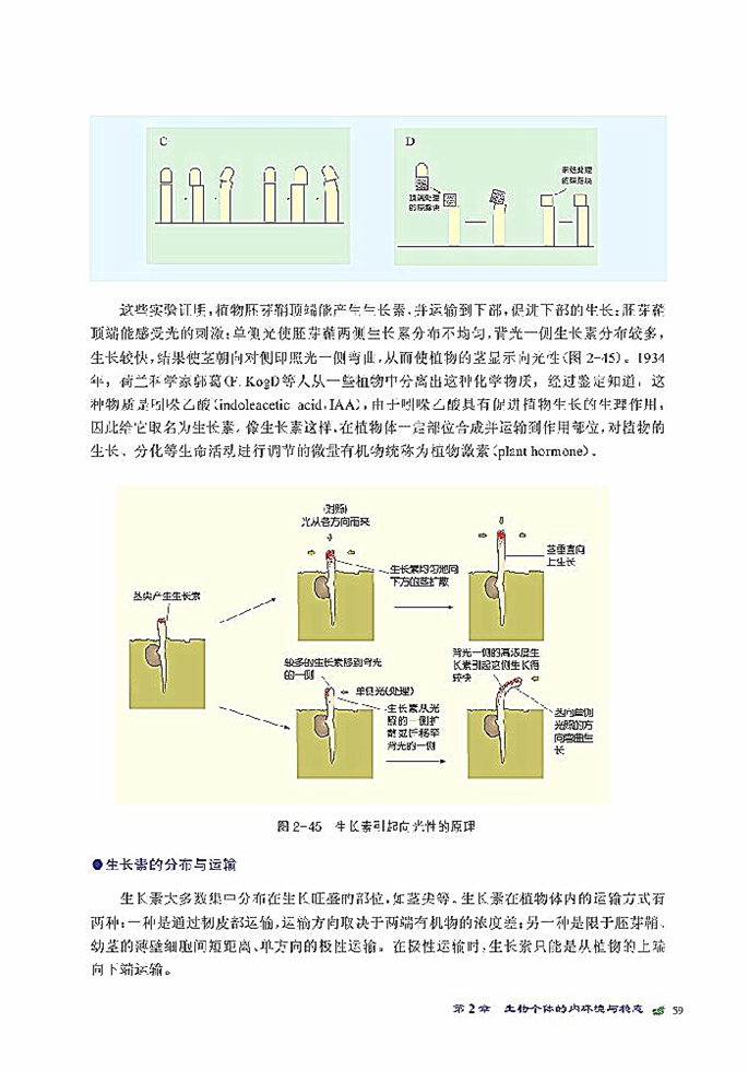 植物生命活动的调节(4)