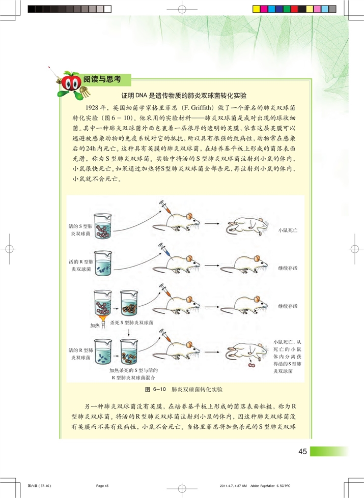 遗传信息(8)